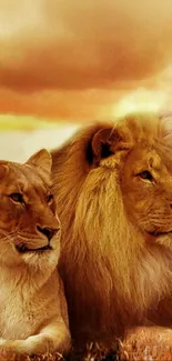 Majestic lions resting at sunset, surrounded by golden hues.