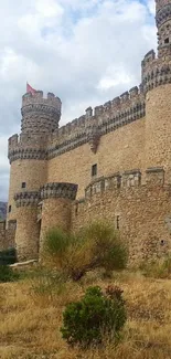 Majestic stone castle with towers and scenic backdrop.