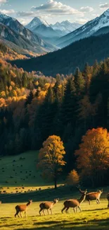 Majestic deer roam in a picturesque autumn mountain landscape.