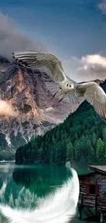 Seagull flying over serene mountain lake and cabin.