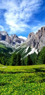 Beautiful mountain landscape with green field and blue sky