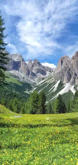 Peaceful meadow with a stunning mountain backdrop.