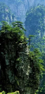 Majestic mountain landscape with lush greenery and cliffs.