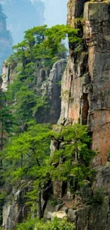 Towering mountains with lush greenery and rocky cliffs for mobile wallpaper.