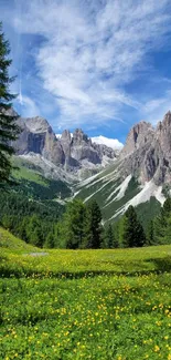 Mountain meadow with yellow flowers and peaks under a blue sky