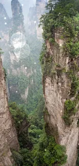 Majestic mountain peaks with lush green foliage.