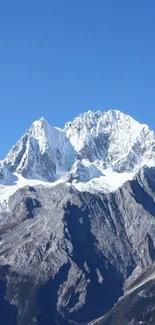 Majestic snowy mountain range under a clear blue sky.