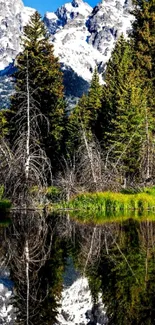 Snowy mountain reflection in calm lake with lush greenery.