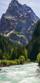 Majestic mountain peak and river scene in lush green forest.