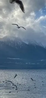 Majestic mountain and sky wallpaper with birds flying over tranquil water.