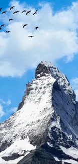 Snow-capped mountain under a blue sky with birds flying.