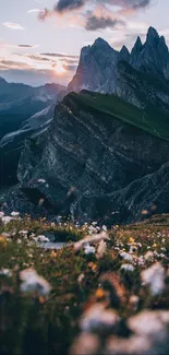 Serene mountain sunrise with wildflowers in foreground.