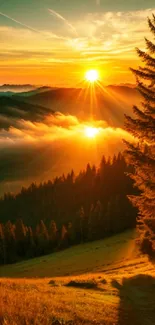 Stunning sunrise over mountain landscape, casting a golden glow on trees and clouds.