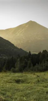 Peaceful mountain scene with sunset and forest.