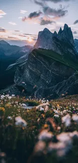 Dramatic mountain sunset with wildflowers in foreground.