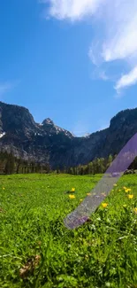 Lush green field with yellow flowers and mountains under clear sky.