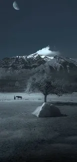 Night mountain scene with moonlit sky.