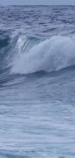 Breathtaking ocean wave crashing in blue waters.