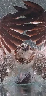 Osprey capturing prey in dramatic flight scene over water.