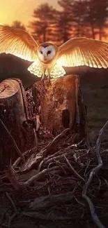 Owl with glowing wings perched on stump at sunset forest scene.