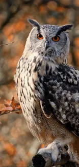 Majestic owl perched in autumn forest.