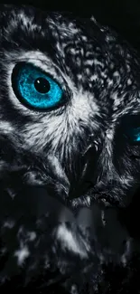 Striking wallpaper of an owl with luminous blue eyes against a dark background.