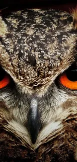 Close-up of a majestic owl with vibrant orange eyes and detailed feather patterns.