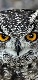 Close-up of an owl with striking yellow eyes and detailed gray plumage.