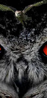 Close-up wallpaper of an owl with orange eyes and a soaring hawk.