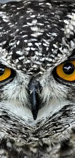 Mobile wallpaper featuring an owl with vivid yellow eyes and detailed feathers.