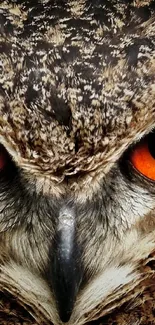 Close-up of owl with striking orange eyes and detailed feathers.