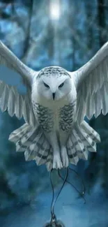 Snowy owl in flight over a mystical forest.