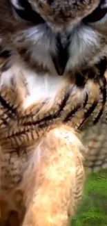 Close-up of an owl in a lush green forest, perfect for nature phone wallpaper.