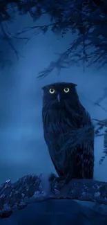 Majestic owl perched in a serene blue forest at night.