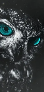 Dark owl wallpaper with vivid teal eyes and intricate feather detail.