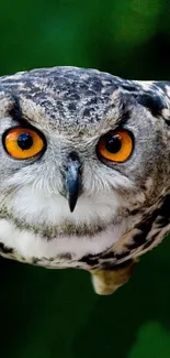 Majestic owl in flight with glowing orange eyes over green background.