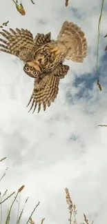 Owl soaring high against a blue sky.