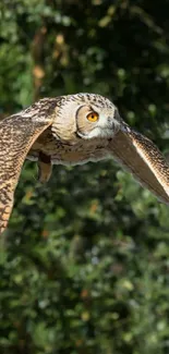 Majestic owl soaring through lush green forest.