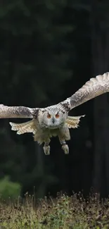 Owl gracefully flying over a lush green forest, showcasing nature's beauty.