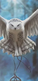 Owl in flight with open wings against blue forest.