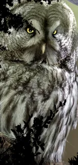 Owl nestled in a natural setting, framed by dark foliage.