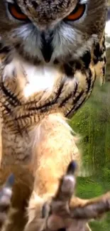 Close-up of owl landing with sharp focus in a lush green forest background.