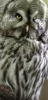 Close-up of a majestic owl with bright yellow eyes and intricate feather patterns.