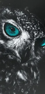 Owl with captivating cyan eyes in a dark night setting.