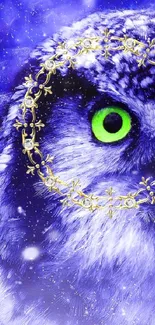 Owl with green eyes surrounded by blue starry night sky.