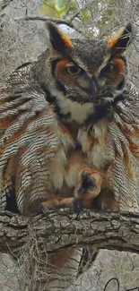 Majestic owl perched on a tree branch in a forest setting.