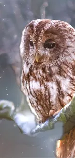 Majestic owl perched on a branch with dreamy lighting.