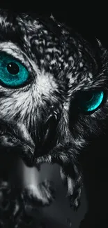 Close-up of owl with turquoise eyes, perfect for mobile wallpaper.