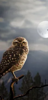 Owl perched under moonlit night sky with mountains.