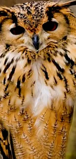 Majestic owl with detailed brown feathers close-up.